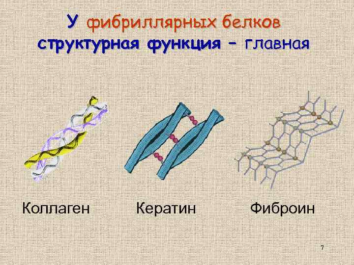 Фибриллярные подергивания мышц