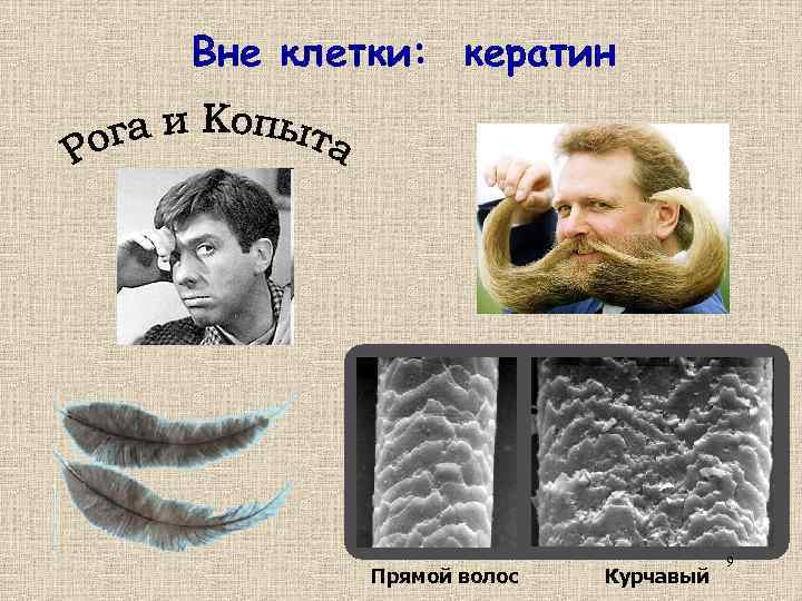 Вне клетки: кератин Прямой волос Курчавый 9 