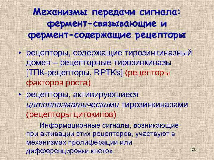 Механизмы передачи сигнала: фермент-связывающие и фермент-содержащие рецепторы • рецепторы, содержащие тирозинкиназный домен – рецепторные