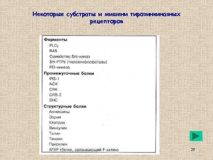 Некоторые субстраты и мишени тирозинкиназных рецепторов 29 