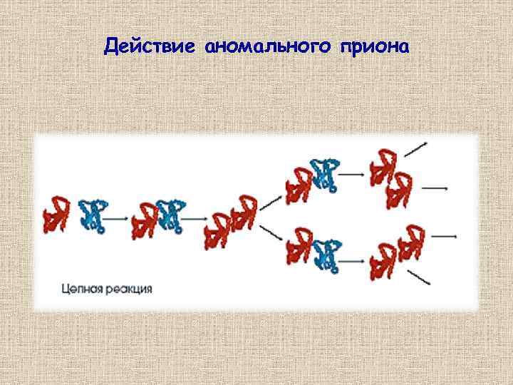 Действие аномального приона 