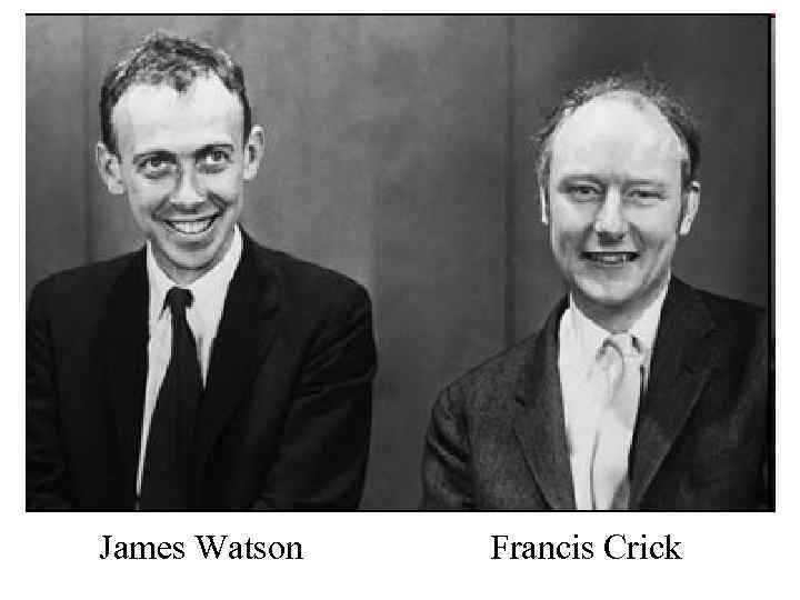 James Watson Francis Crick 