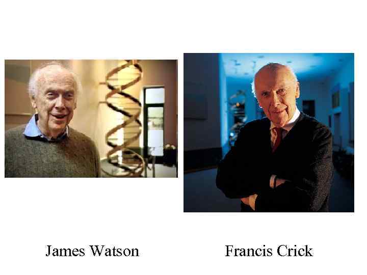 James Watson Francis Crick 