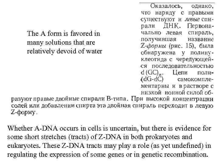 The A form is favored in many solutions that are relatively devoid of water