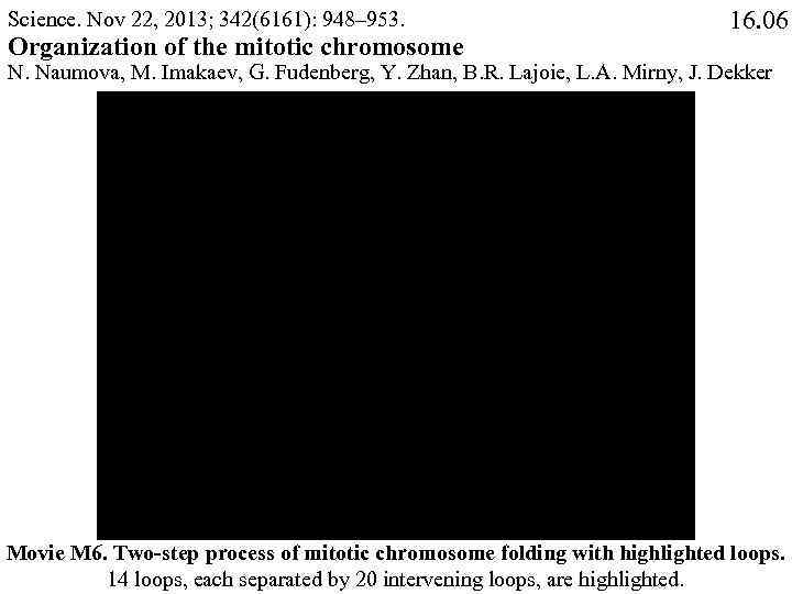 Science. Nov 22, 2013; 342(6161): 948– 953. Organization of the mitotic chromosome 16. 06