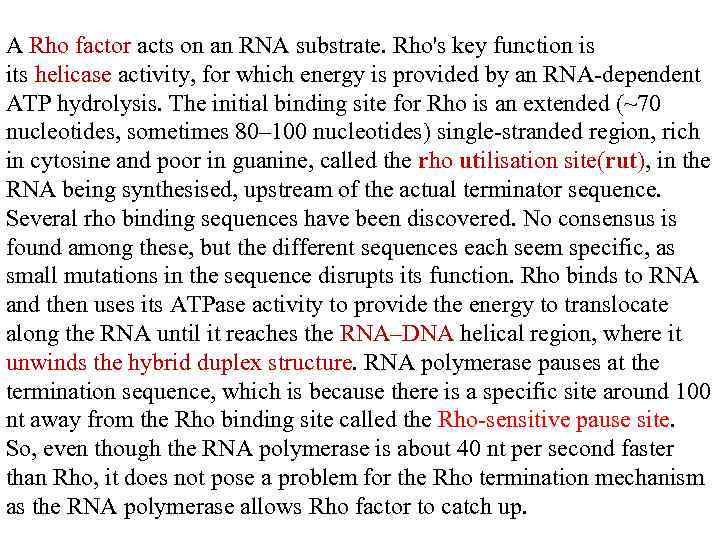 A Rho factor acts on an RNA substrate. Rho's key function is its helicase