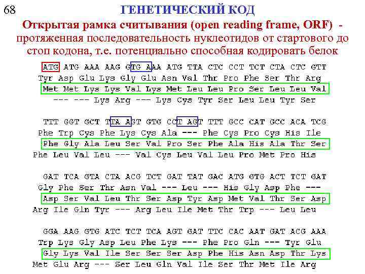 68 ГЕНЕТИЧЕСКИЙ КОД Открытая рамка считывания (open reading frame, ORF) - протяженная последовательность нуклеотидов