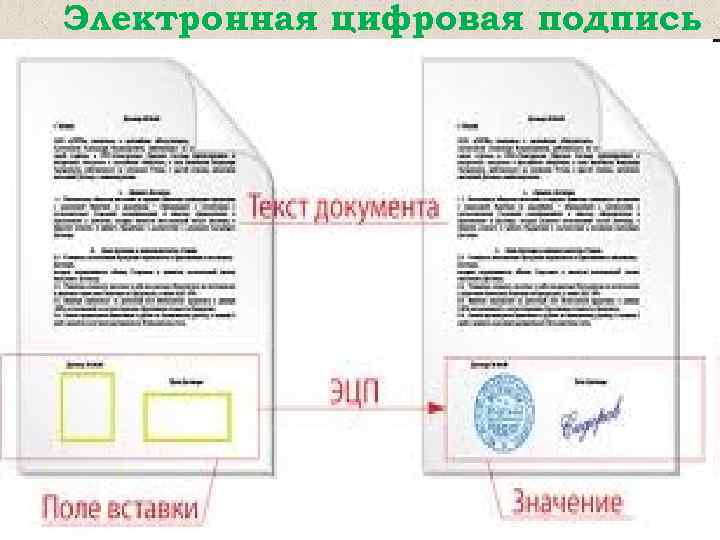 Электронная цифровая подпись 