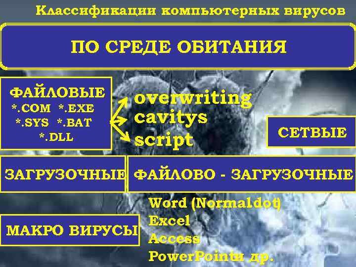 Классификации компьютерных вирусов ПО СРЕДЕ ОБИТАНИЯ ФАЙЛОВЫЕ *. СОМ *. ЕХЕ *. SYS *.