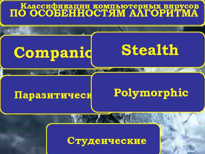 Классификации компьютерных вирусов ПО ОСОБЕННОСТЯМ АЛГОРИТМА Companion Stealth Паразитические Polymorphic Студенческие 