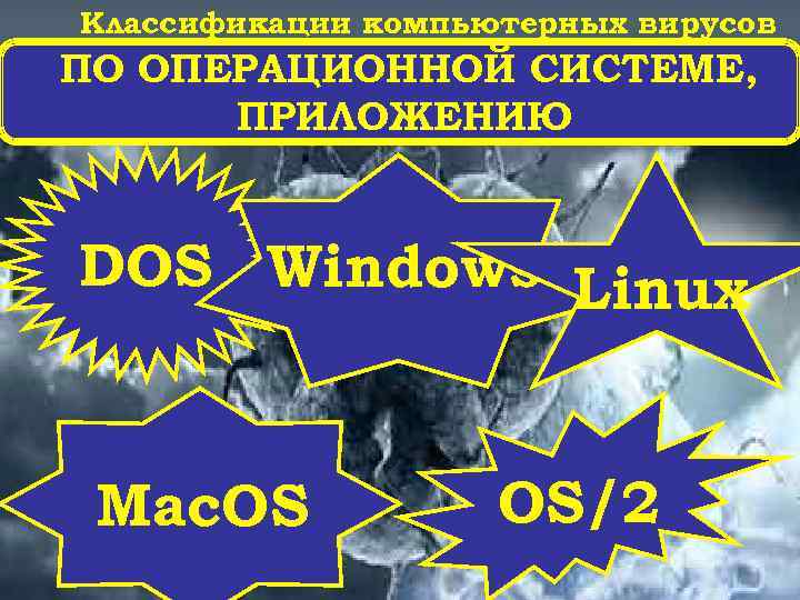 Классификации компьютерных вирусов ПО ОПЕРАЦИОННОЙ СИСТЕМЕ, ПРИЛОЖЕНИЮ DOS Windows Linux Mac. OS OS/2 