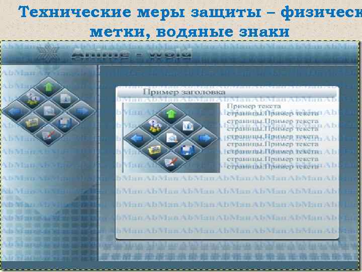 Технические меры защиты – физическ метки, водяные знаки 