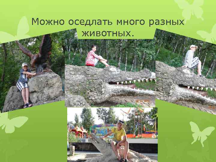 Можно оседлать много разных животных. 