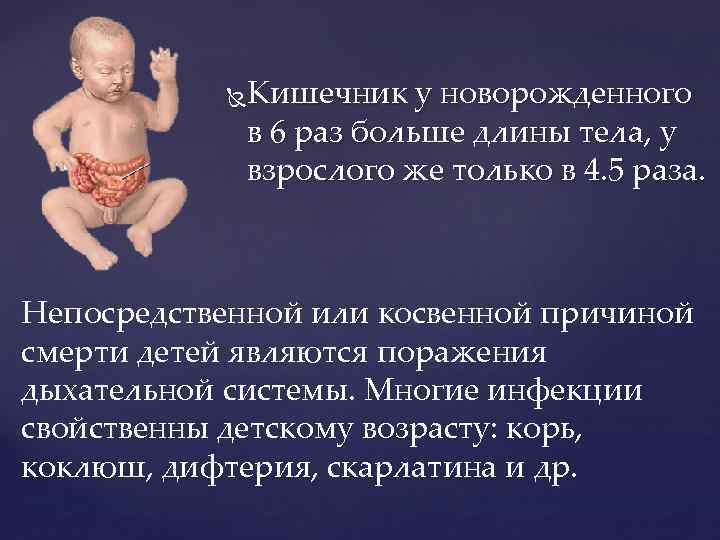 Кишечник у новорожденного в 6 раз больше длины тела, у взрослого же только в