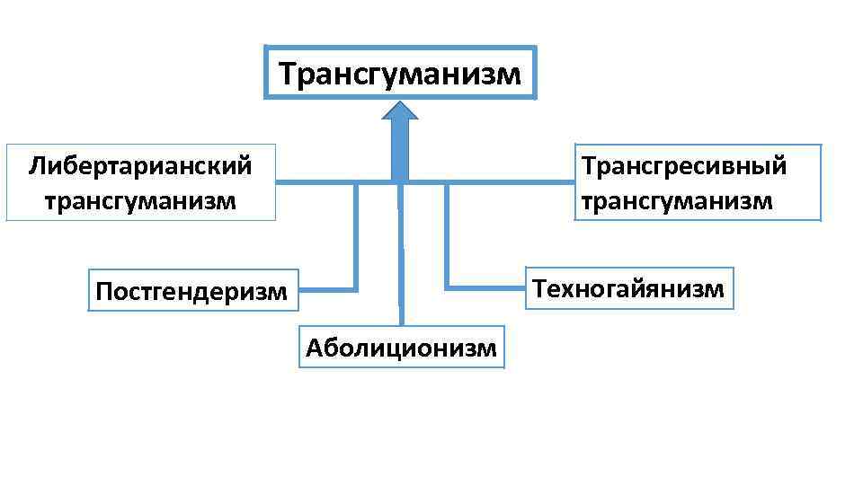 Трансгуманизм Либертарианский трансгуманизм Трансгресивный трансгуманизм Техногайянизм Постгендеризм Аболиционизм 