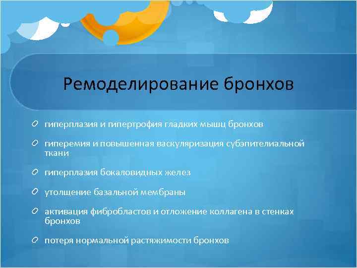 Ремоделирование бронхов гиперплазия и гипертрофия гладких мышц бронхов гиперемия и повышенная васкуляризация субэпителиальной ткани