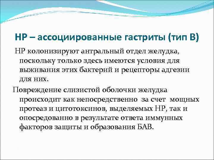 НР – ассоциированные гастриты (тип В) НР колонизируют антральный отдел желудка, поскольку только здесь