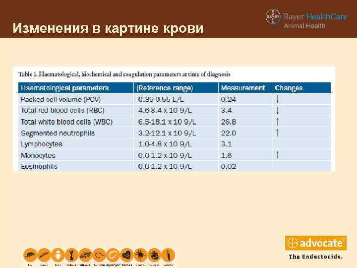 Изменения в картине крови 