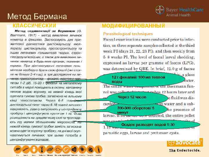 Метод Бермана КЛАССИЧЕСКИЙ МОДИФИЦИРОВАННЫЙ 12 г фекалий/ 100 мл теплой воды Через 12 часов