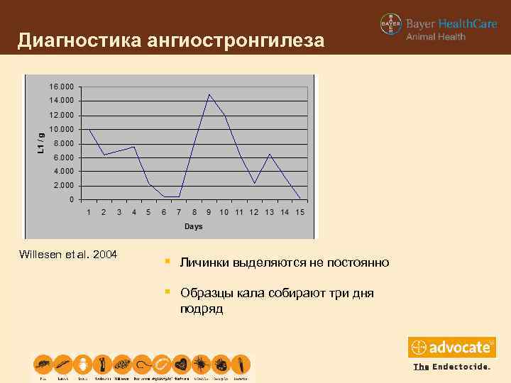 Диагностика ангиостронгилеза Willesen et al. 2004 § Личинки выделяются не постоянно § Образцы кала