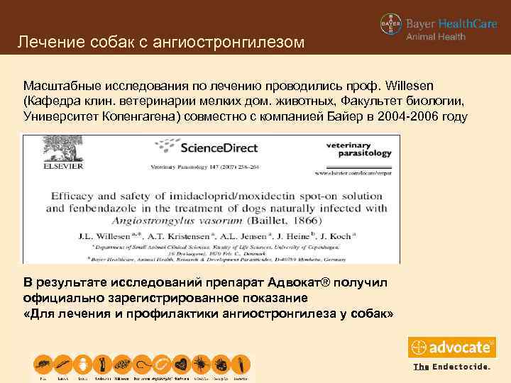 Лечение собак с ангиостронгилезом Масштабные исследования по лечению проводились проф. Willesen (Кафедра клин. ветеринарии