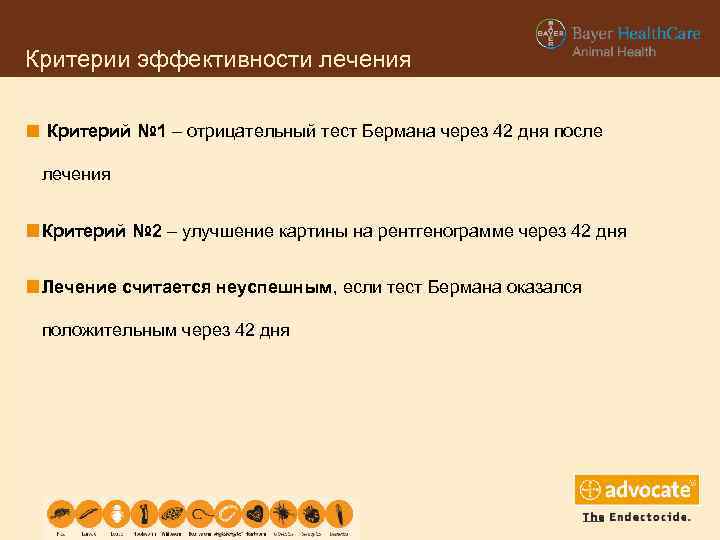 Критерии эффективности лечения Критерий № 1 – отрицательный тест Бермана через 42 дня после