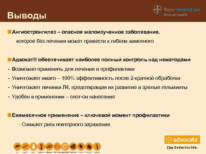 Выводы Ангиостронгилез – опасное малоизученное заболевание, которое без лечения может привести к гибели животного