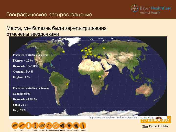 Географическое распространение Места, где болезнь была зарегистрирована отмечены звездочками 