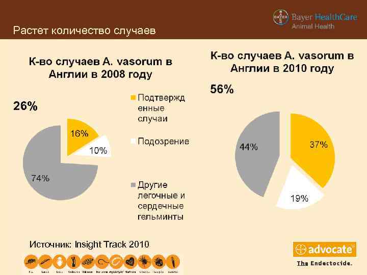 Растет количество случаев 26% Источник: Insight Track 2010 