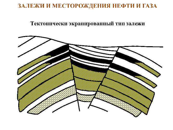 Тектонически экранированный тип залежи 