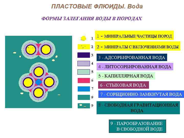 ПЛАСТОВЫЕ ФЛЮИДЫ. Вода ФОРМЫ ЗАЛЕГАНИЯ ВОДЫ В ПОРОДАХ 1 - МИНЕРАЛЬНЫЕ ЧАСТИЦЫ ПОРОД 2