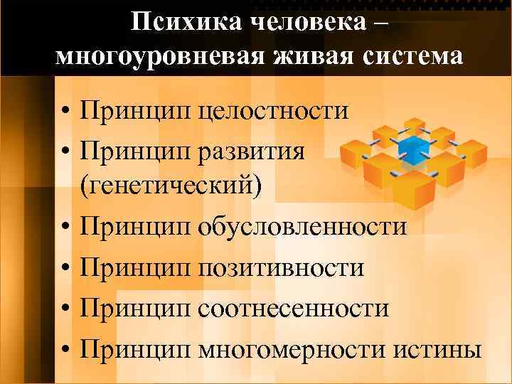 Психика человека – многоуровневая живая система • Принцип целостности • Принцип развития (генетический) •