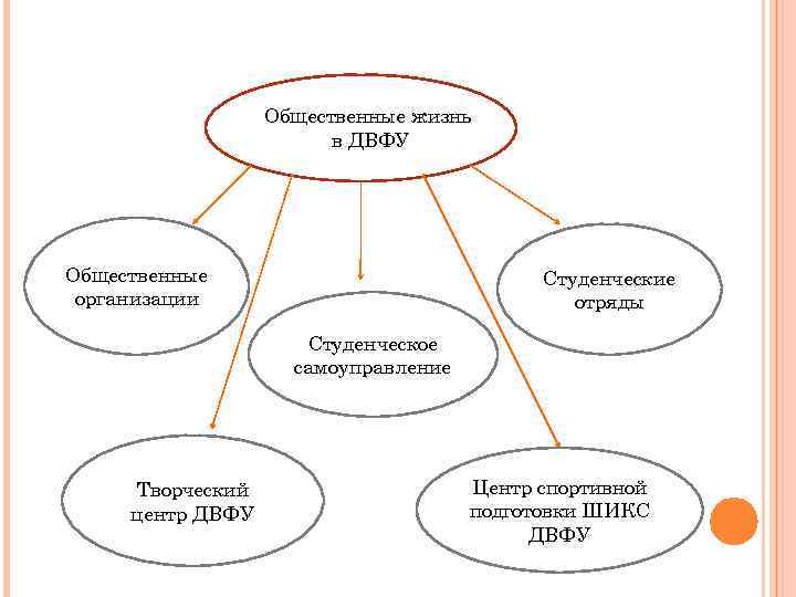 Общественные жизнь в ДВФУ Общественные организации Студенческие отряды Студенческое самоуправление Творческий центр ДВФУ Центр