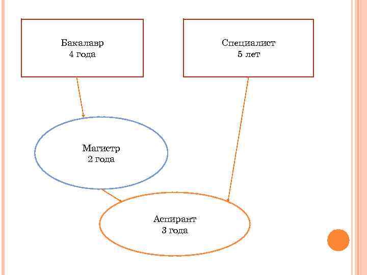 Бакалавриат сколько лет. Кто выше специалист или бакалавр. Схема бакалавриат магистратура. Бакалавр специалист Магистр.