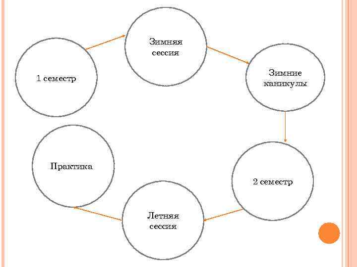 Зимняя сессия Зимние каникулы 1 семестр Практика 2 семестр Летняя сессия 