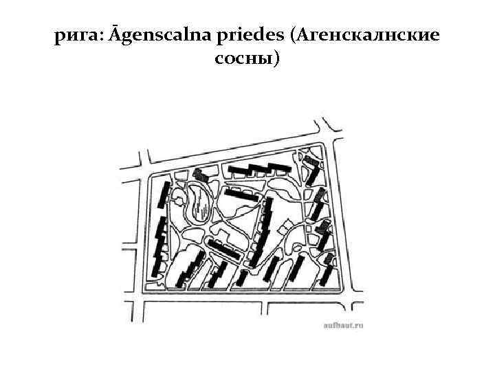рига: Āgenscalna priedes (Агенскалнские сосны) 