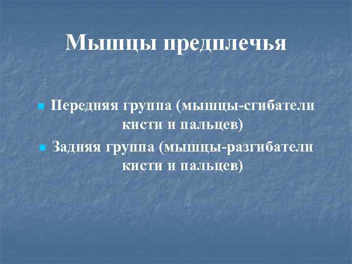 Мышцы предплечья Передняя группа (мышцы-сгибатели кисти и пальцев) n Задняя группа (мышцы-разгибатели кисти и