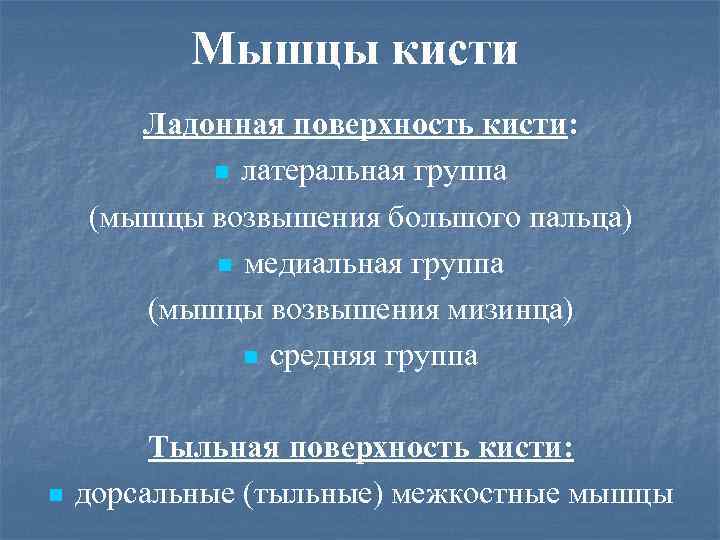 Мышцы кисти Ладонная поверхность кисти: n латеральная группа (мышцы возвышения большого пальца) n медиальная