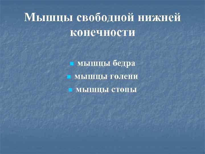 Мышцы свободной нижней конечности мышцы бедра n мышцы голени n мышцы стопы n 