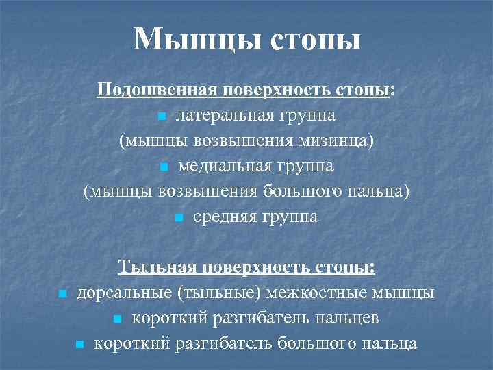 Мышцы стопы Подошвенная поверхность стопы: n латеральная группа (мышцы возвышения мизинца) n медиальная группа