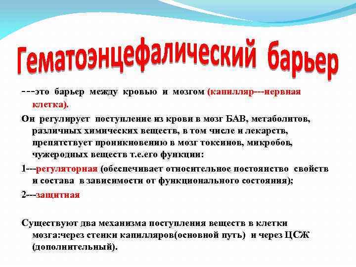 ---это барьер между кровью и мозгом (капилляр---нервная клетка). Он регулирует поступление из крови в