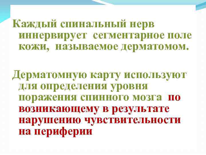 Каждый спинальный нерв иннервирует сегментарное поле кожи, называемое дерматомом. Дерматомную карту используют для определения