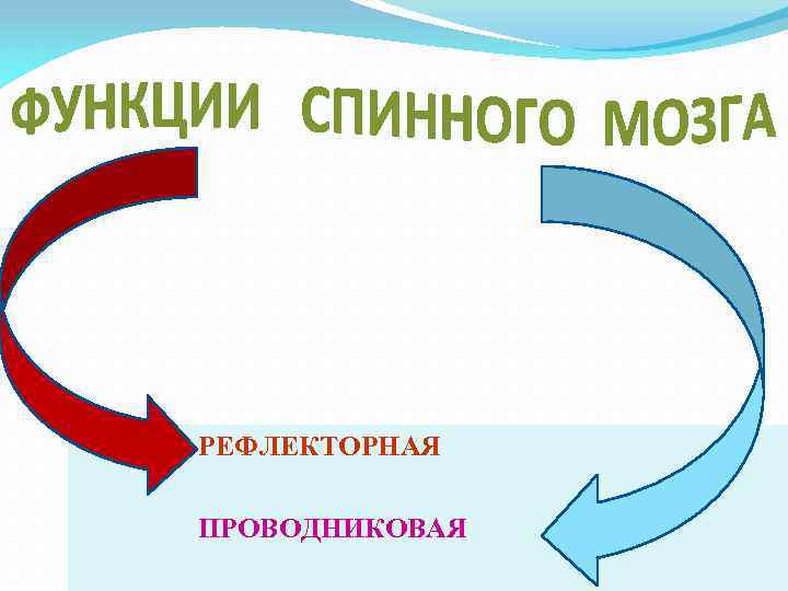 РЕФЛЕКТОРНАЯ ПРОВОДНИКОВАЯ 