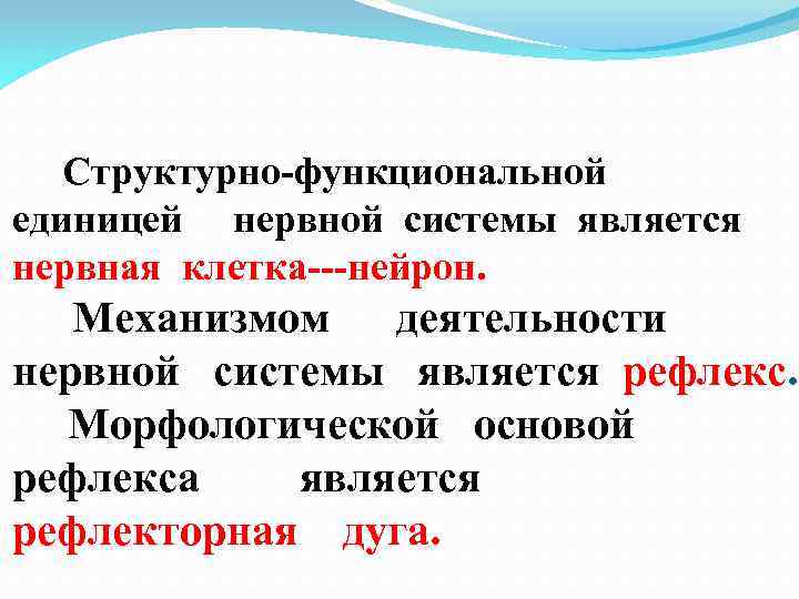 Структурно-функциональной единицей нервной системы является нервная клетка---нейрон. Механизмом деятельности нервной системы является рефлекс. Морфологической