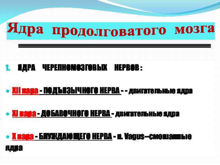 1. ЯДРА ЧЕРЕПНОМОЗГОВЫХ НЕРВОВ : XII пара - ПОДЪЯЗЫЧНОГО НЕРВА - - двигательные ядра