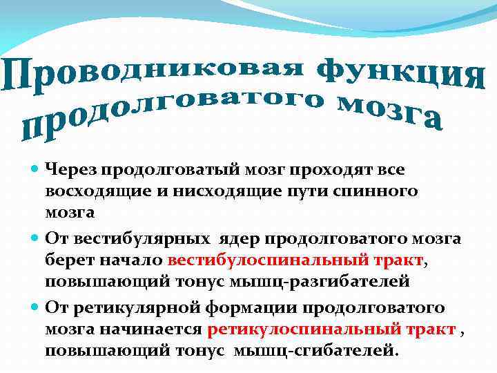  Через продолговатый мозг проходят все восходящие и нисходящие пути спинного мозга От вестибулярных