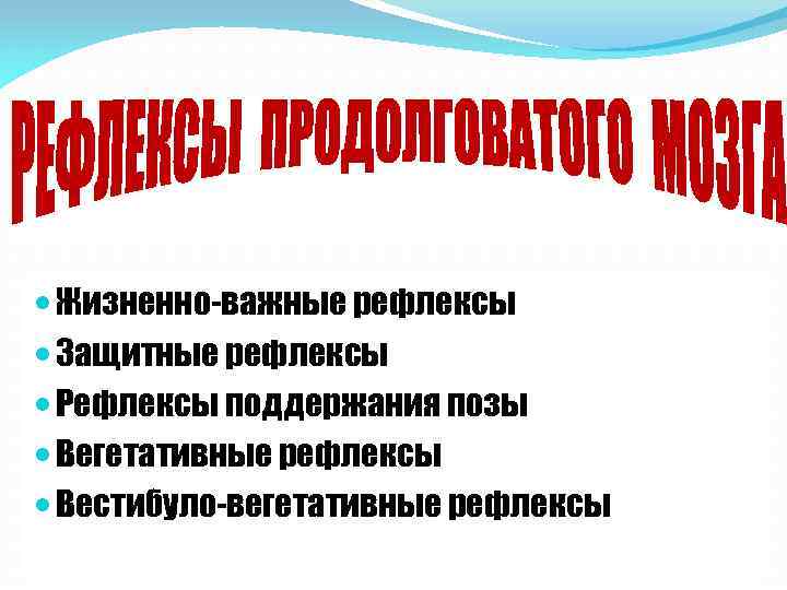  Жизненно-важные рефлексы Защитные рефлексы Рефлексы поддержания позы Вегетативные рефлексы Вестибуло-вегетативные рефлексы 