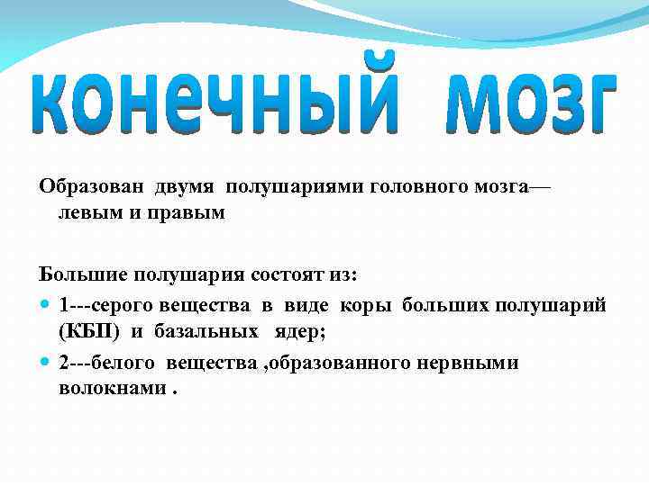 Образован двумя полушариями головного мозга— левым и правым Большие полушария состоят из: 1 ---серого