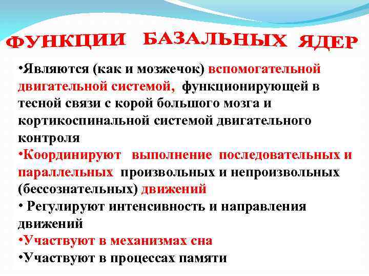  • Являются (как и мозжечок) вспомогательной двигательной системой, функционирующей в тесной связи с