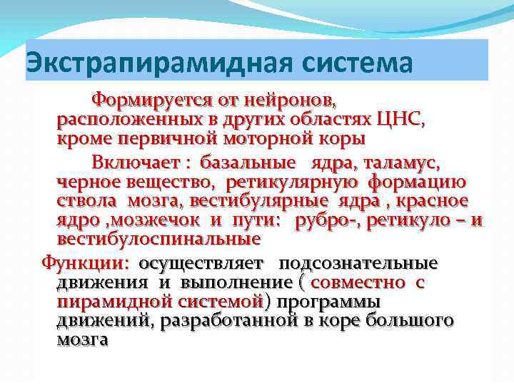 Экстрапирамидная система Формируется от нейронов, расположенных в других областях ЦНС, кроме первичной моторной коры